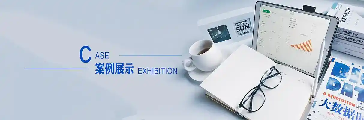 月湖区软件开发